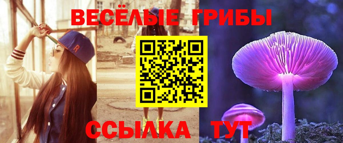 Архангельск  Галлюциногенные грибы прущие грибы  Вход с VPN 